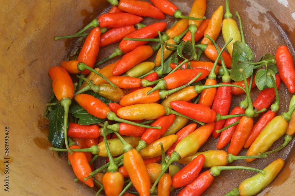 lots of freshly harvested cayenne pepper