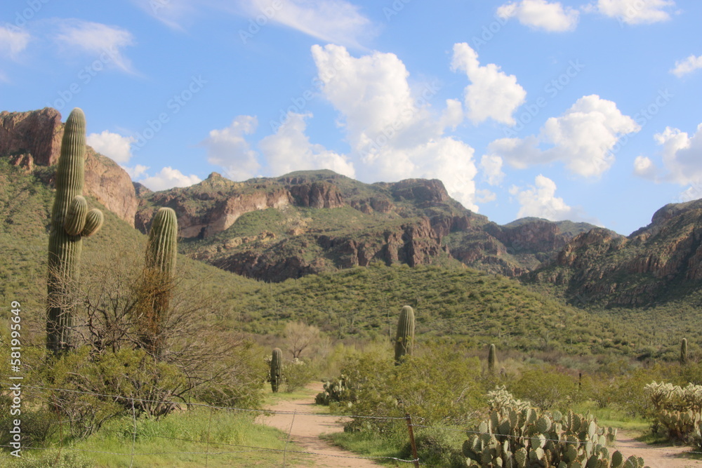 Mountains on a Trail in Arizona Desert 
