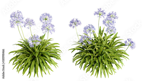 Slika na platnu Flower isolated on white background