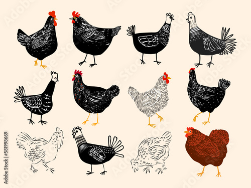 Leinwand Poster Set of chicken, rooster, hen poultry farm animal icon character hand drawn vector illustration
