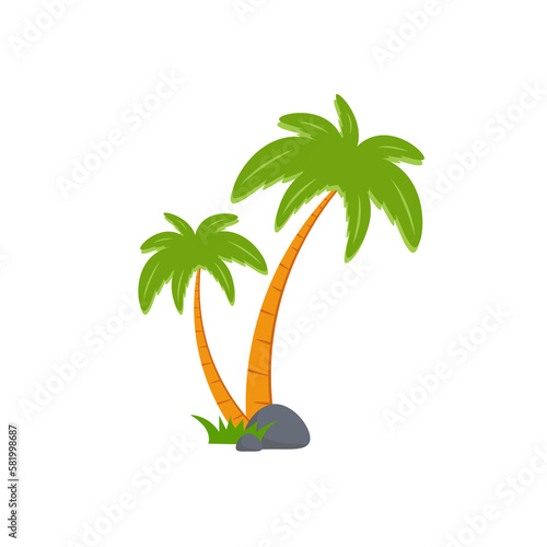 Beach coconut tree  seaside palm tree  coconut tree or island palm tree.