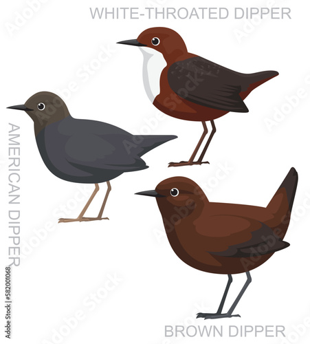 Cute Bird Dipper Set Cartoon Vector
