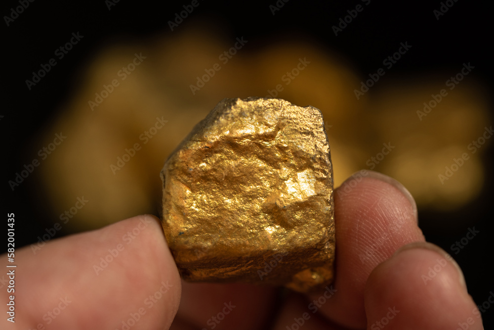 Pure gold nugget from the mine in the hands of a miner on a black background. Pure gold nugget from the mine in the hands of a miner on a black background.