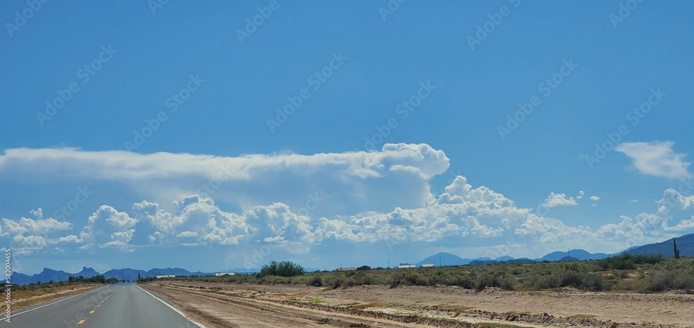 Obraz premium road in the desert