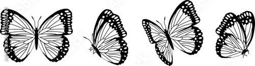 Butterfly silhouette in 4 options vector in isolated background © Dysenkart
