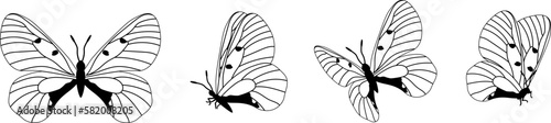 Butterfly silhouette in 4 options vector in isolated background