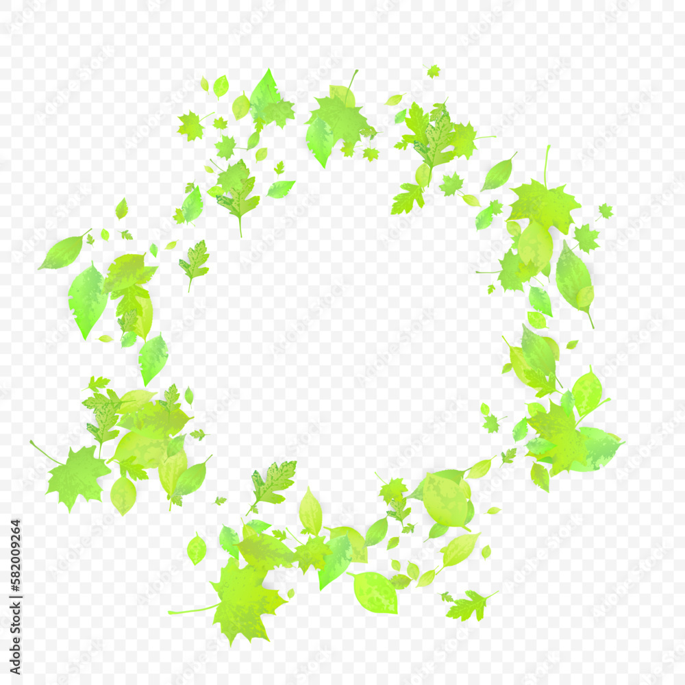 Leaves Falling Spring Flying Foliage Green Leaf Leaves Falling Spring Flying Foliage Green Leaf