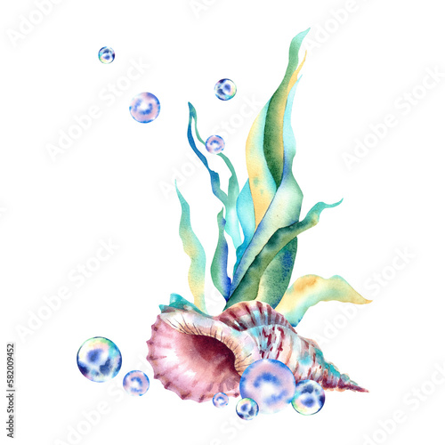 Marine composition. Seaweed, shell, pearls, bubbles. The inhabitants of the ocean. Marine animals. Watercolor illustration.