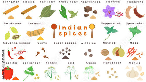 インドのスパイス。フラットなベクターイラストセット。
Indian spices. Flat designed vector illustration set.