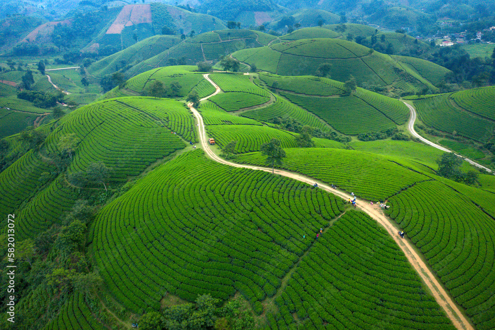 See the winding dirt road on Long Coc tea hill seen from above in Phu Tho province, Vietnam