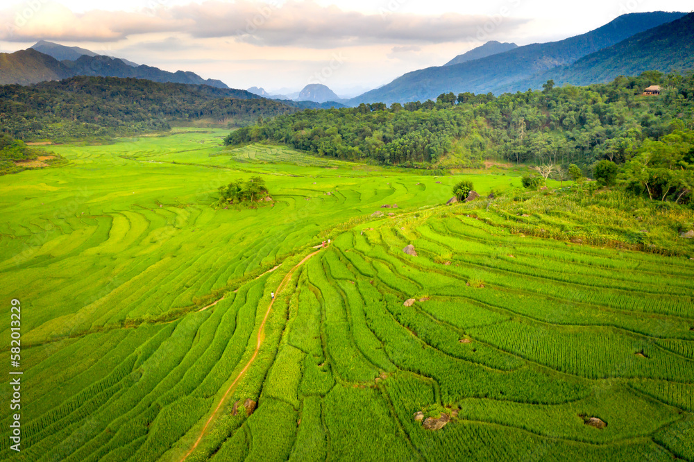 Obraz premium Panoramic view of beautiful green terraces of Pu Luong commune, Thanh Hoa province, Vietnam