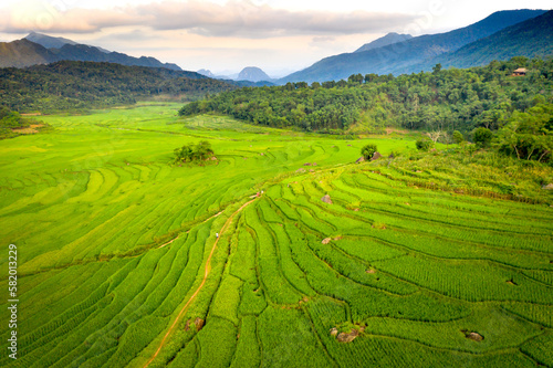 Panoramic view of beautiful green terraces of Pu Luong commune  Thanh Hoa province  Vietnam