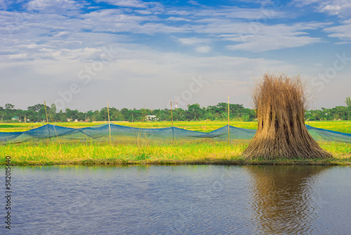 landscape with lake