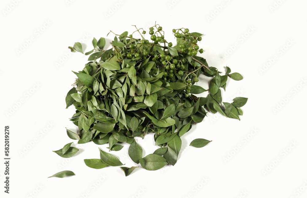 Obraz premium Henna Tree Fruits or Mignonette Tree Leaves Isolate on White Background, Also Known as Egyptian Privet