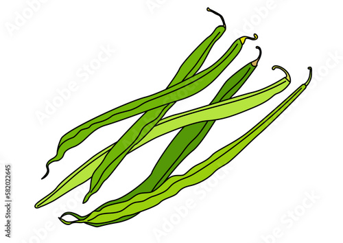 夏野菜　いんげん豆5本のイラストセット
