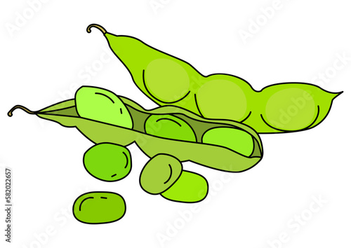 夏野菜 えだまめ1個と鞘を剥いた枝豆と取り出された豆のイラストセット
