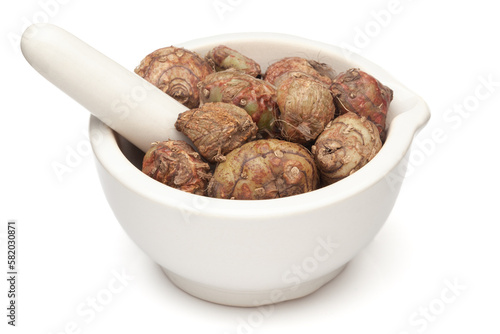 Closeup of Dry Spectacular Eulophia or Eulophia ochreata or Tubers of Amarkand (Eulophia nuda) fruits, in white ceramic mortar and pestle, isolated on white background.