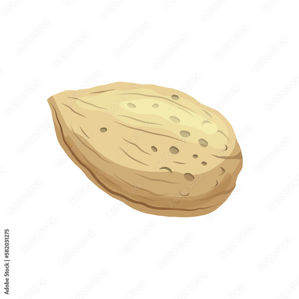 almond nut seed cartoon vector illustration Stock Vector | Adobe Stock
