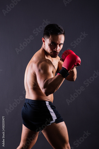 Muscular model sports young man in boxing gloves on grey background. Male flexing his muscles. © Ivan Zelenin