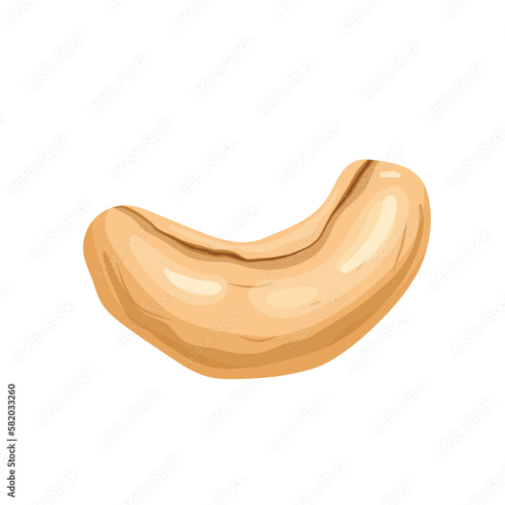 cashew nut food cartoon vector illustration cashew nut food cartoon vector illustration
