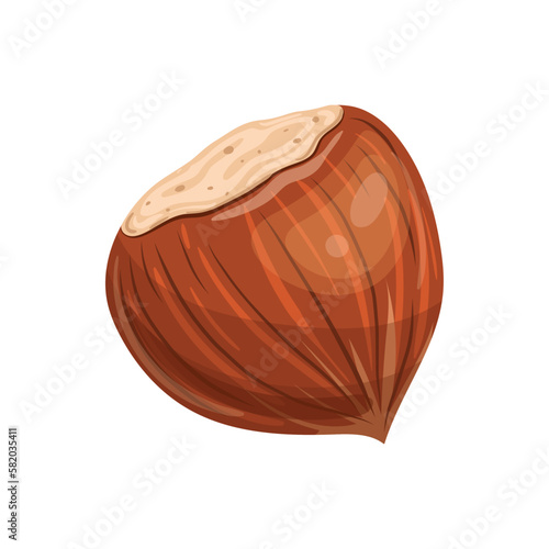 hazelnut brown nut cartoon vector illustration