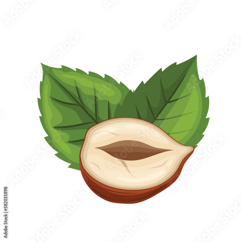hazelnut eat nut cartoon vector illustration
