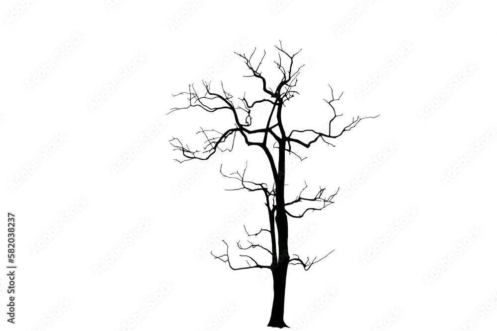 silhouette of dry tree on transparent background png file silhouette of dry tree on transparent background png file