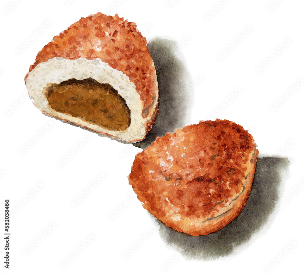 アナログ水彩半分に切ったカレーパン アナログ水彩半分に切ったカレーパン