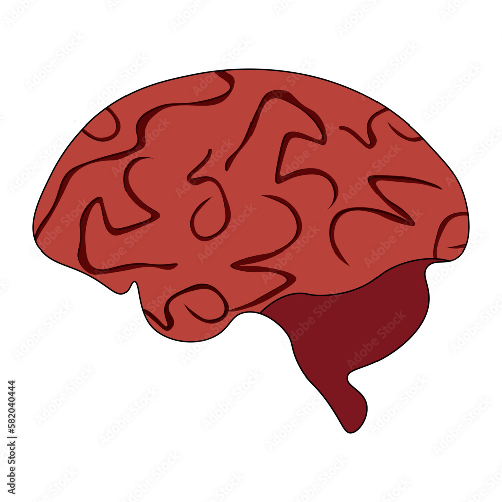 Cartoon human brain isolated on white background. Cartoon human brain isolated on white background.