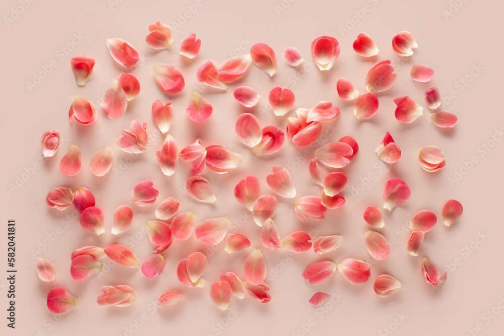Flower petals on a pink background. The pattern is made of peony petals.