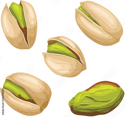 pistachio nut food set cartoon vector illustration