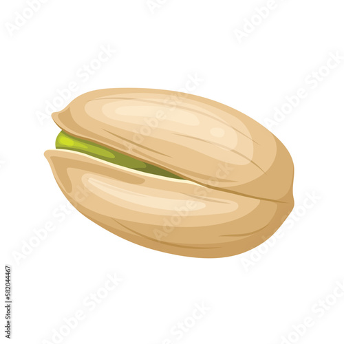 pistachio organic food cartoon vector illustration