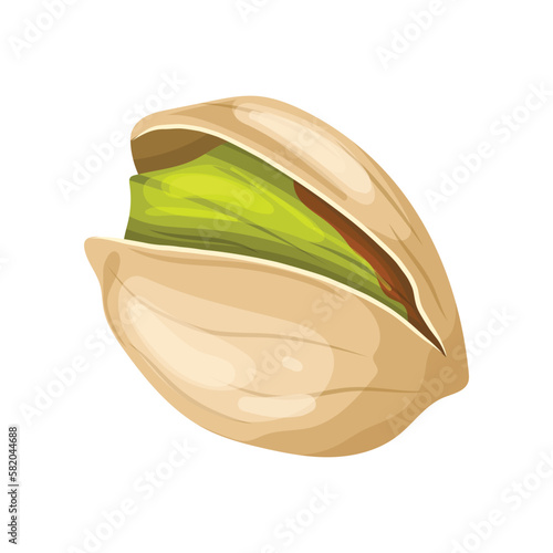 pistachio organic food cartoon vector illustration