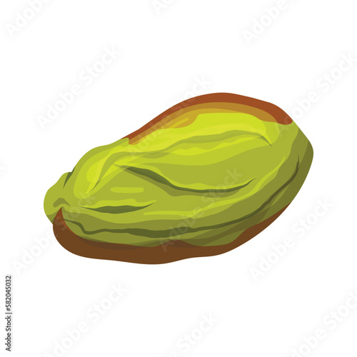 pistachio organic food cartoon vector illustration