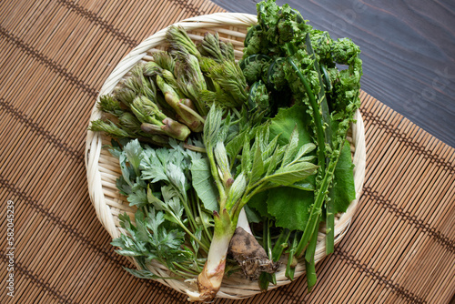 Cuadro en lienzo 山菜や薬草1