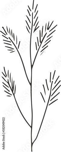Fototapeta Naklejka Na Ścianę i Meble -  collection forest fern eucalyptus art foliage natural
leaves herbs inline style. Decorative beauty, elegant illustration 
Vector flower Botanical