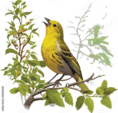 bird on branch