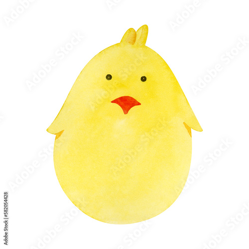 Watercolor chick, easter chick, cute pet, pet. Isolated on white background