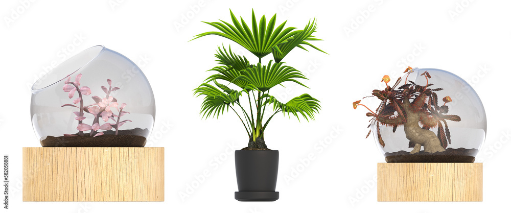 decorative flower in a pot isolate on a transparent background, 3D illustration, cg render
decorative flower in a pot isolate on a transparent background, 3D illustration, cg render
