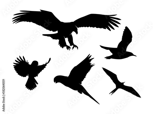Set of Birds Silhouette Isolated on a white background -  Vector Illustration