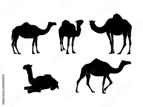 Set of Camels Silhouette Isolated on a white background -  Vector Illustration