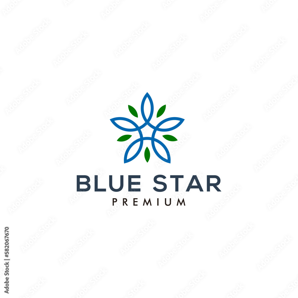 Star leaf logo design template vector illustration Star leaf logo design template vector illustration