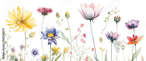 delicate watercolor beautiful meadow flowers on white background. generative ai 