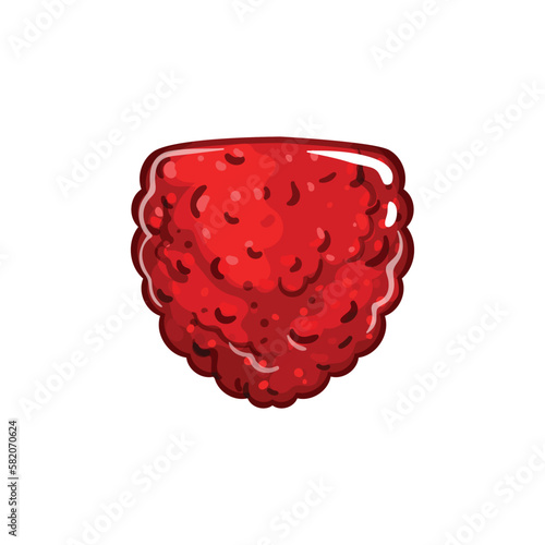 raspberry jelly candy cartoon vector illustration