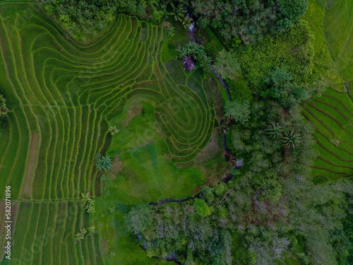 aerial view beautiful morning view from Indonesia about mountain and forest