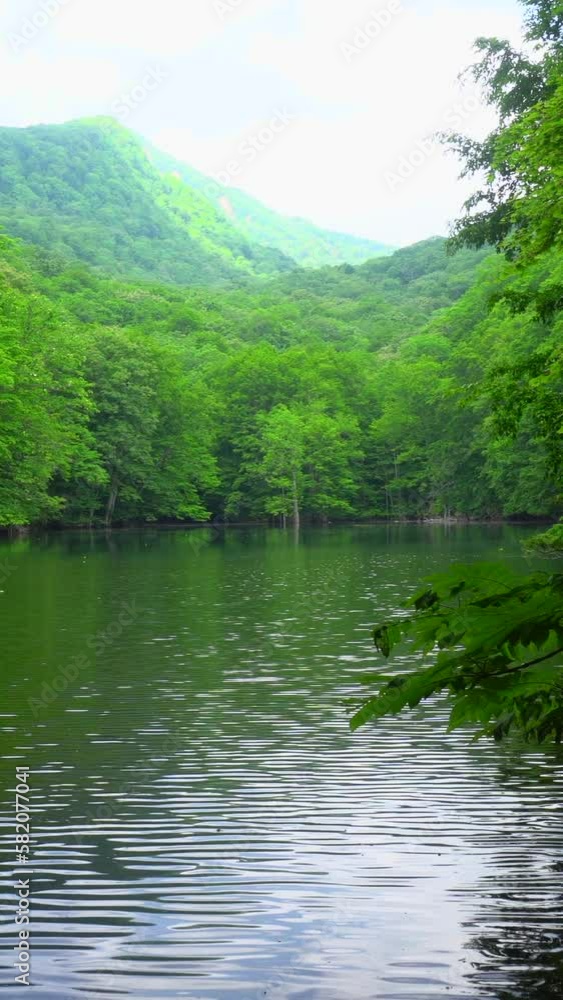 新緑の蔦七沼の縦動画 新緑の蔦七沼の縦動画