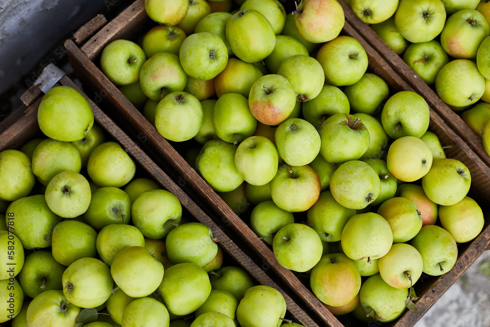 Fresh green apples on the wooden boxes, harvest, space for your text, local market or supermarket, Ukraine apples. Fresh green apples on the wooden boxes, harvest, space for your text, local market or supermarket, Ukraine apples.