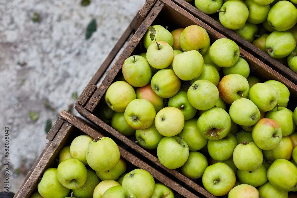 Fresh green apples on the wooden boxes, harvest, space for your text, local market or supermarket, Ukraine apples. Fresh green apples on the wooden boxes, harvest, space for your text, local market or supermarket, Ukraine apples.