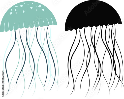 jellyfish on a white background with a silhouette isolated, vector