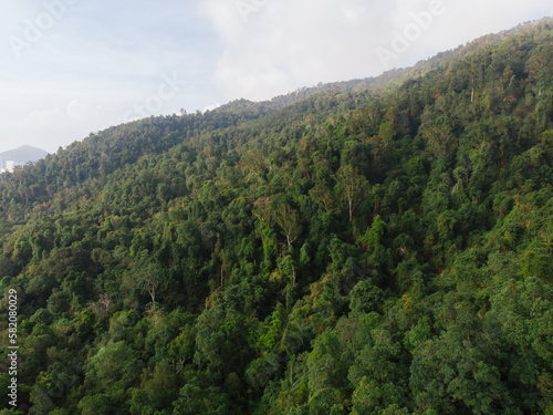 Aerial view from the top of the tropical mountain that full of trees